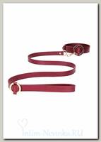 Набор ошейник + поводок Shots Media Ouch Collar With Leash, бордовый