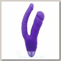 Вибратор INDULGENCE Rechargeable Insatiable Desire, фиолетовый