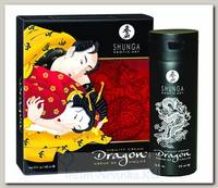 Гель смазка с продлевающим эффектом Shunga Дракон, 60 мл
