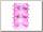 Насадка на пенис Armour Pink с бусинами и усиками для стимуляции, розовая