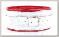 Ошейник белый с кольцом